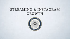 Read more about the article Ari Herstand & Lucidious – Streaming & Instagram Growth