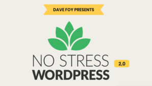 You are currently viewing Dave Foy – No Stress WordPress 2.0