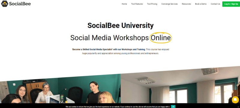 Read more about the article SocialBee University – Social Media Workshops Online