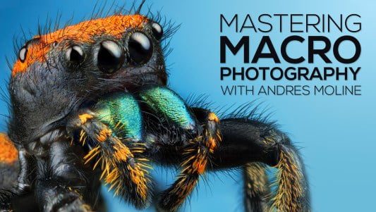 Read more about the article Andres Moline – Fstoppers – Mastering Macro Photography Download