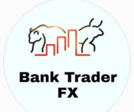 Read more about the article Bank TraderFX SA Course