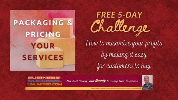 Read more about the article How to ‘Package & Price Your Services’ in just 5 Days