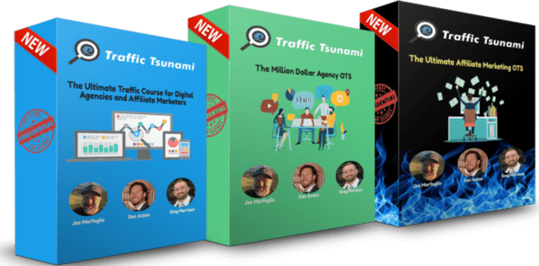 Read more about the article OMG Machines – Definitive Traffic Tsunami – DC2021 Update 1