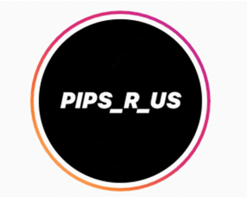Read more about the article Pips R Us Course