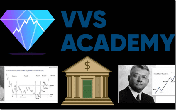 Read more about the article VVS Academy Course