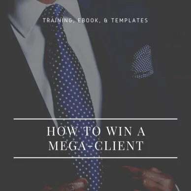 Read more about the article Charm Offensive – How To Win A MegaClient