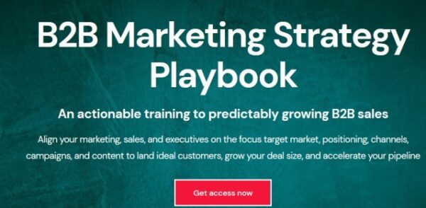 Read more about the article B2B Marketing Strategy Playbook