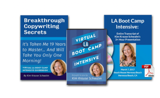 Read more about the article Kim Krause Schwalm – Virtual LA Boot Camp Intensive Download