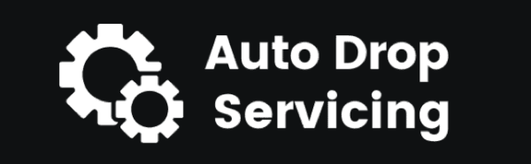 Read more about the article Ricky Mataka – Auto Drop Servicing Download