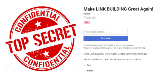 Read more about the article Holly Starks – Make LINK BUILDING Great Again! Download