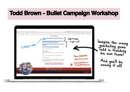 You are currently viewing Todd Brown – Bullet Campaign Workshop Download