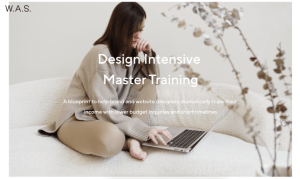 Read more about the article White and Salt – Design Intensive Master Training Download