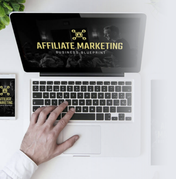 Read more about the article David Sharpe – Affiliate Marketing Business Blueprint Download