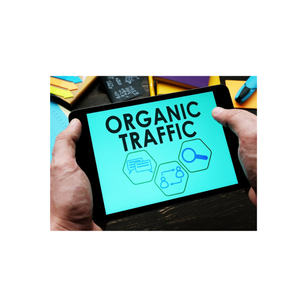 You are currently viewing Organic Acceleration – How I turned $20 to 7 figs with Organic Traffic Download