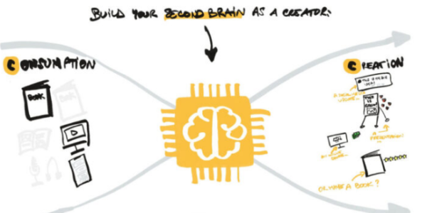 You are currently viewing Matt Giaro – Second Brain For Content Creators Download