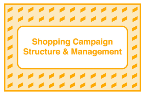 Read more about the article Take Some Risk – Shopping Campaign Structure and Management Download