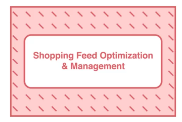 Read more about the article Take Some Risk – Shopping Feed Optimization and Management Download