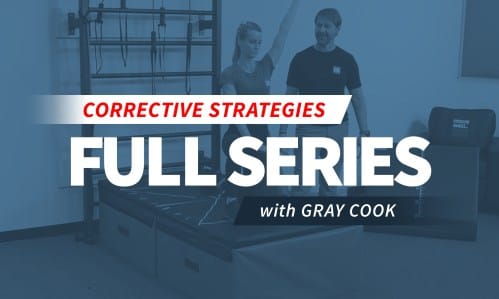 Read more about the article Gray Cook – Corrective Strategies Bundle Download