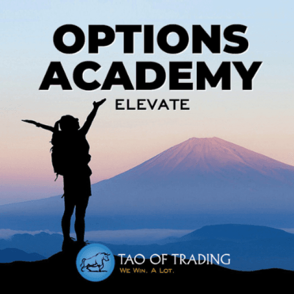 You are currently viewing Simon Ree – Options Academy Elevate Download
