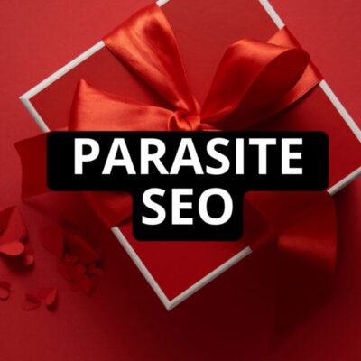 Read more about the article Jesper Nissen – Parasite Seo Course Download